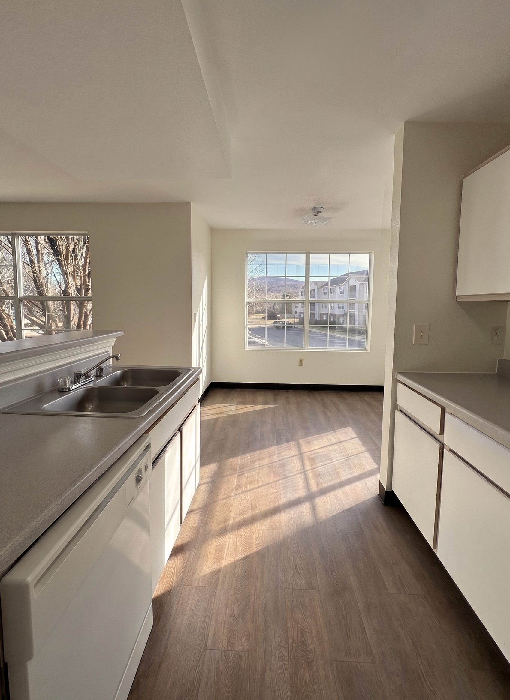 Kitchen and living area at Avalon Cove